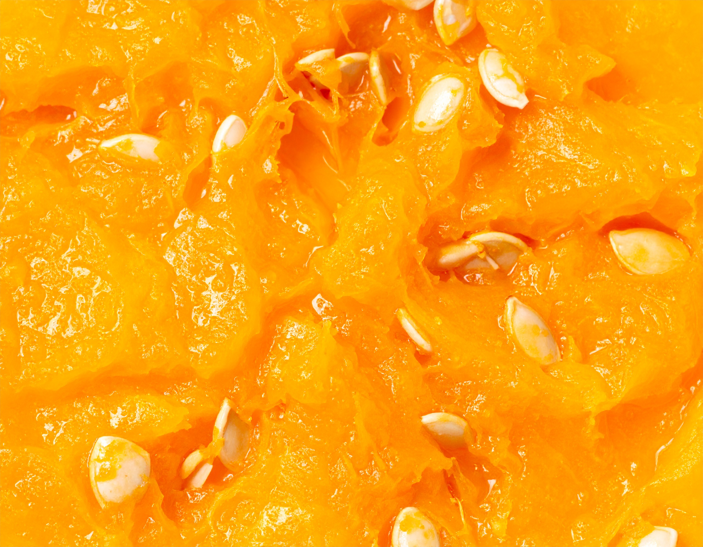 Firefly__pumpkin pulp with many seeds, chilled 965432.jpg
