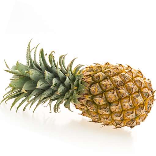 abacaxi (2).png